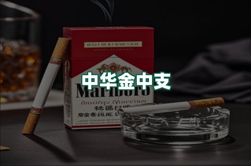 中华金中支